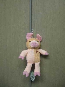 犬にはあげられない