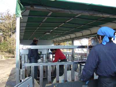 車の前に追い込んでいます。